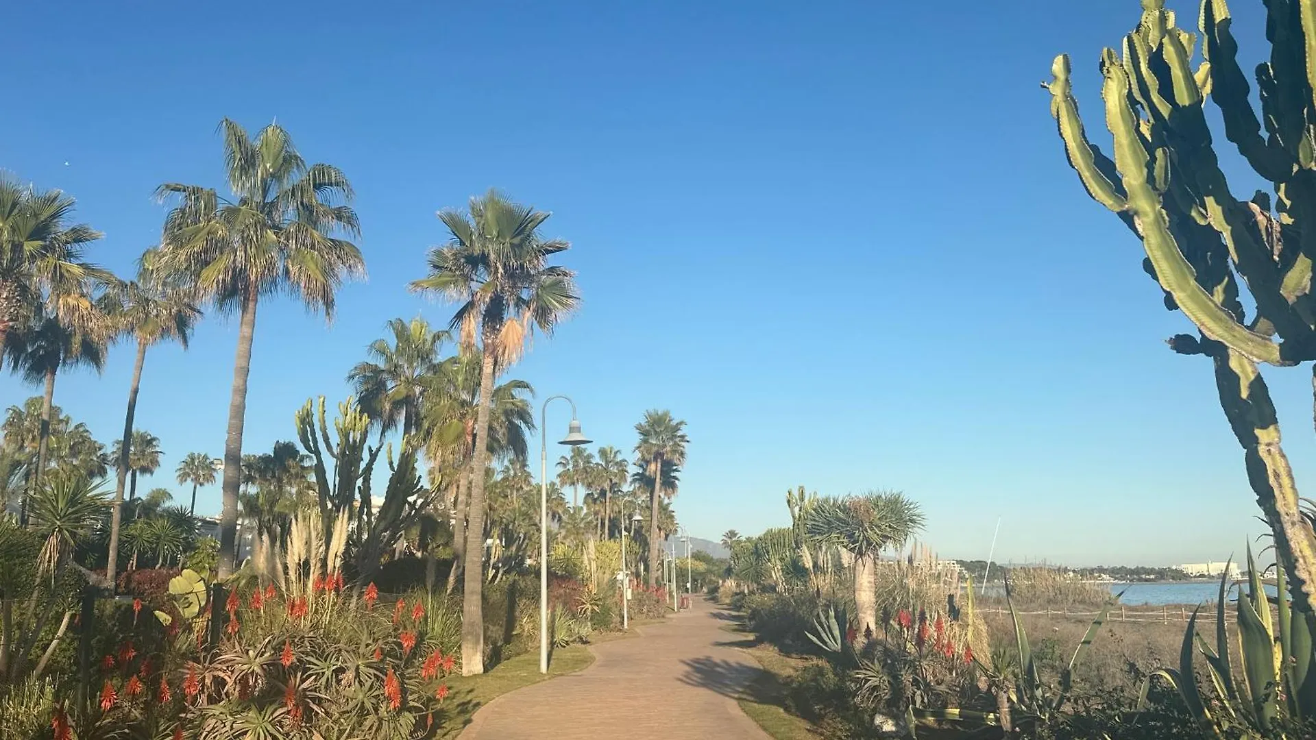 Costalita Playa Apartment Estepona